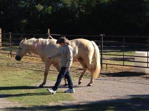 Laurie Cox with her mare, Holly